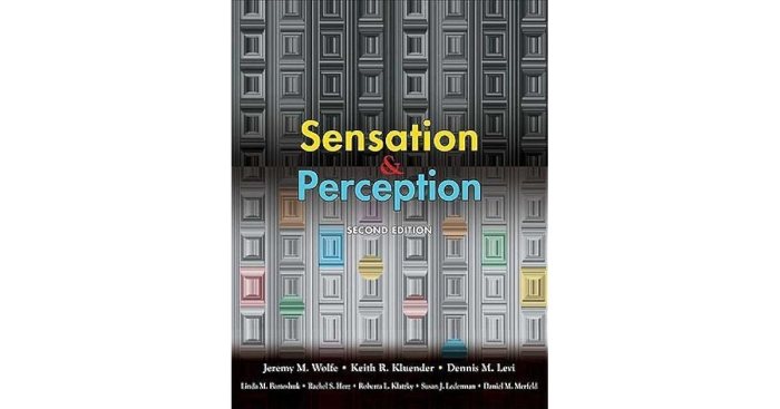 Sensation and perception wolfe 6th edition