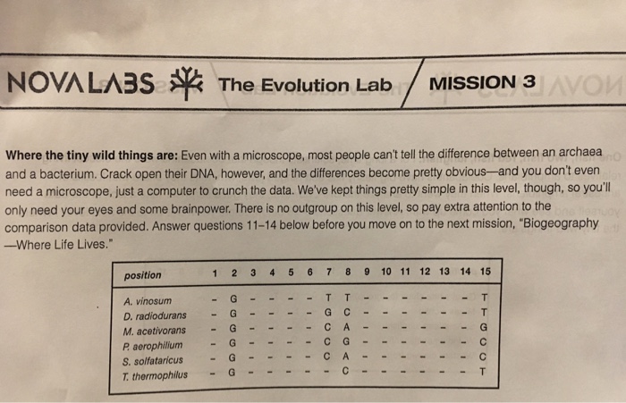 Nova labs the evolution lab answers