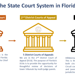 Court systems and structures crossword