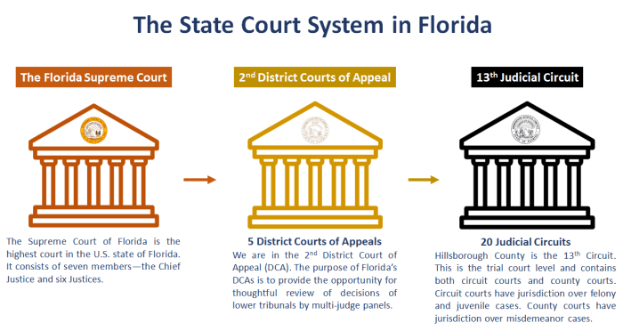 Court systems and structures crossword