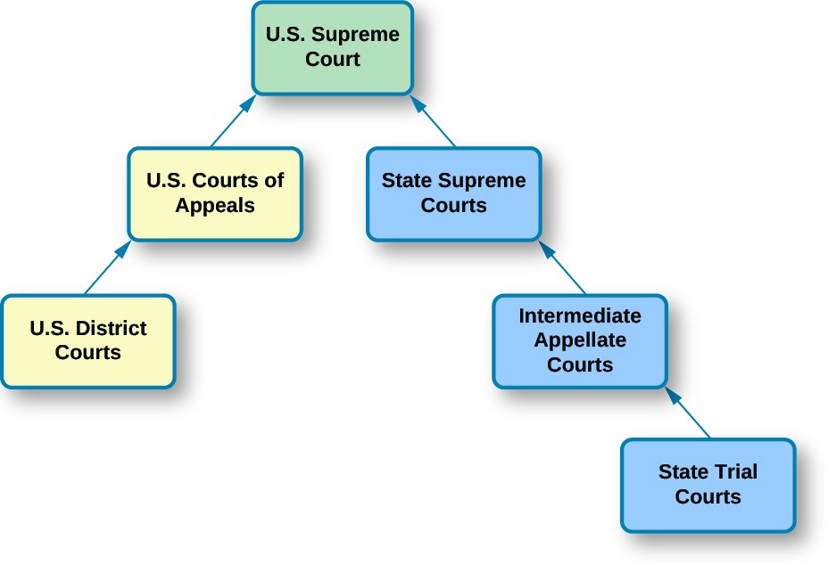 Court systems and structures crossword