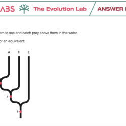 Trees training nova evolution lab pbs game science might also lesson