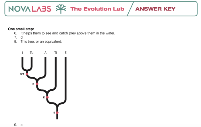 Trees training nova evolution lab pbs game science might also lesson