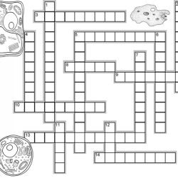 Cell crossword puzzle answer key pdf