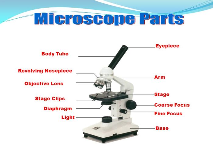 Microscope microscopes getdrawings