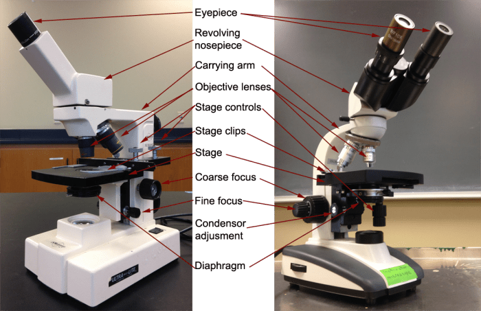 Color the parts of the microscope