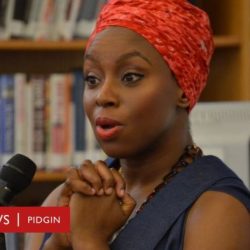 The american embassy by chimamanda ngozi adichie