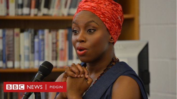 The american embassy by chimamanda ngozi adichie