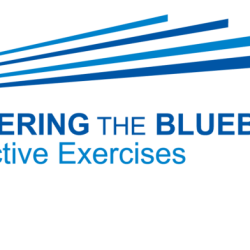 Mastering the bluebook interactive exercises