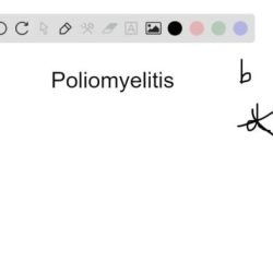 Which of these statements concerning the cardiac cycle is false