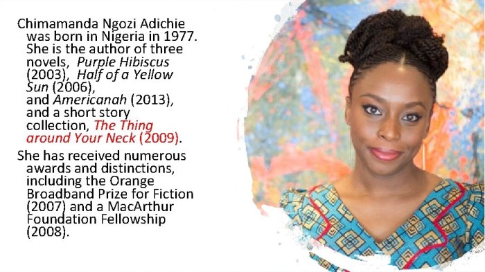 The american embassy by chimamanda ngozi adichie