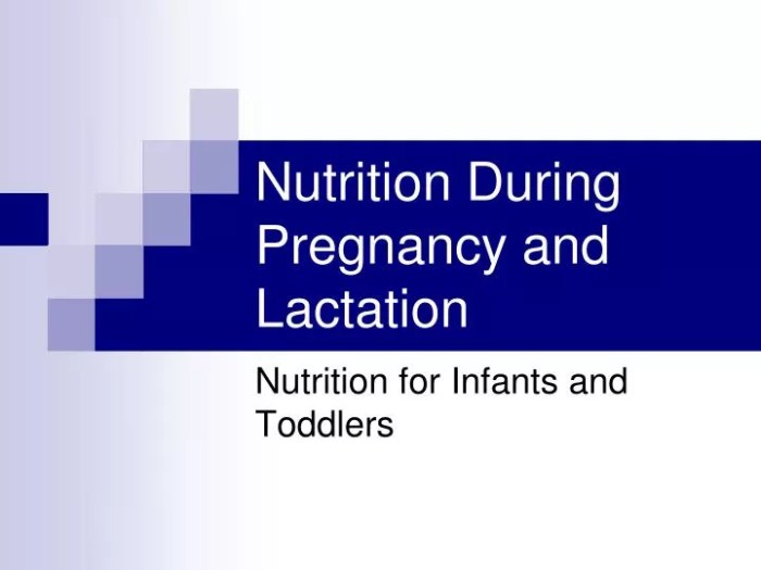 Lactation pregnancy nutrition during well needed period presentation ppt powerpoint slideserve